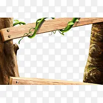 树 藤蔓-空若网 树 藤蔓-空若网