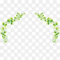 卡通藤蔓-空若网 卡通藤蔓-空若网