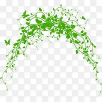 ������ɫ����ֲ����֦-������