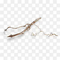 缠着的小树枝-空若网 缠着的小树枝-空若网