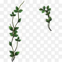 藤蔓边框-空若网 藤蔓边框-空若网