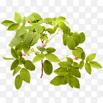 �ٲ�-������