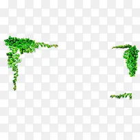 藤蔓边框-空若网 藤蔓边框-空若网