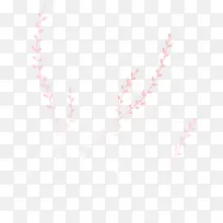 ��ͨ�ֻ�����֦��-������