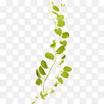 ÂÌÌÙ-¿ÕÈôÍø ÂÌÌÙ-¿ÕÈôÍø