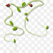 手绘藤蔓昆虫装饰-空若网 手绘藤蔓昆虫装饰-空若网