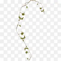 草藤-空若网 草藤-空若网