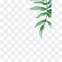 绿草-空若网 绿草-空若网