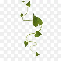 ����-������