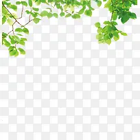 环保藤蔓树枝装饰-空若网 环保藤蔓树枝装饰-空若网