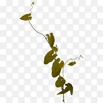水彩藤蔓植物叶子-空若网 水彩藤蔓植物叶子-空若网