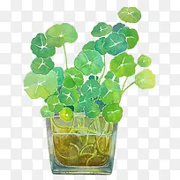 水彩藤蔓-空若网 水彩藤蔓-空若网