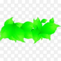 �ֻ洺��������Ҷ-������