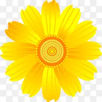 手绘黄色春季促销小花-空若网 手绘黄色春季促销小花-空若网