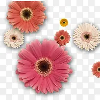 ���ջ����Ա���������-������