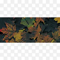 �Ա��＾��װ��������-������