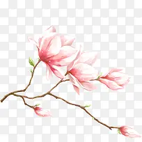 粉色唯美水彩桃花-空若网 粉色唯美水彩桃花-空若网
