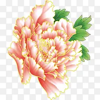 粉色唯美水彩牡丹-空若网 粉色唯美水彩牡丹-空若网