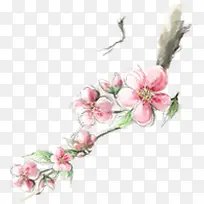 唯美淡雅粉色桃花树枝-空若网 唯美淡雅粉色桃花树枝-空若网