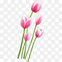 粉色唯美花朵水彩-空若网 粉色唯美花朵水彩-空若网