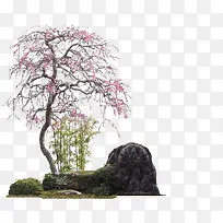 粉色唯美公园大树-空若网 粉色唯美公园大树-空若网