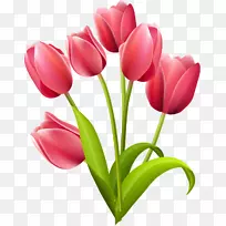 �����㻨��������-������-������