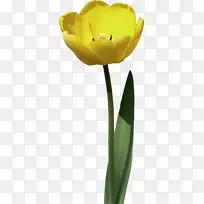 �����㻨������-������-������