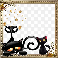 ��ͨè����ͼ���߿�-������