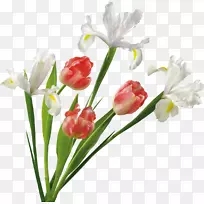 郁金香插花艺术-郁金香-空若网 郁金香插花艺术-郁金香-空若网