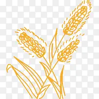 ֲ���ֻ��������-������