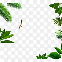 卡通树叶边框-空若网 卡通树叶边框-空若网