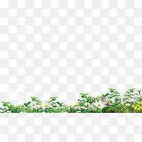 С�� С��-������