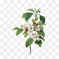 ˮ�ʰ�ɫС��-������