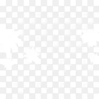 白色小花-空若网 白色小花-空若网