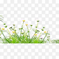 »¨»Ü-¿ÕÈôÍø »¨»Ü-¿ÕÈôÍø