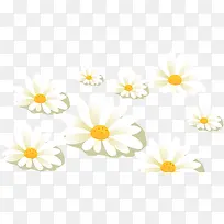 ��ɫС��-������