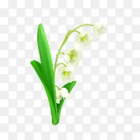 ��ɫС��-������