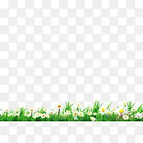 绿色的小草白色的小花-空若网 绿色的小草白色的小花-空若网