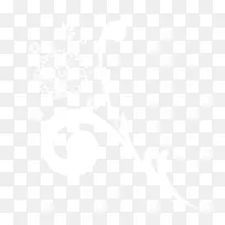 ��ɫ����-������