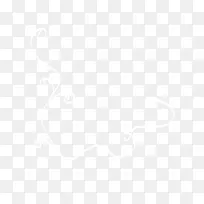 白色花纹-空若网 白色花纹-空若网