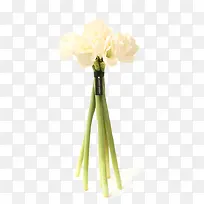 三只绿颈白色花卉软装-空若网 三只绿颈白色花卉软装-空若网