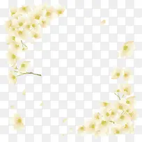 白色花瓣边框-空若网 白色花瓣边框-空若网