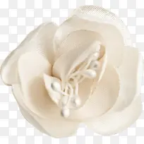 ��ɫ�ʻ�-������