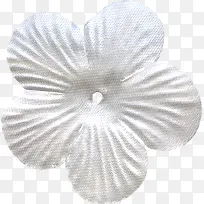 ��ɫ����-������