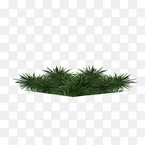 圣诞绿草-空若网 圣诞绿草-空若网