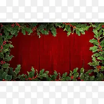 ʥ���ز�-������