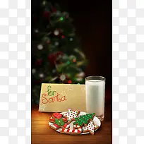 ϲ��ʥ���ز�-������