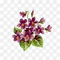 手绘图片手绘英伦风素材-空若网 手绘图片手绘英伦风素材-空若网