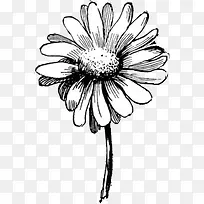 手绘图片英伦风图片-空若网 手绘图片英伦风图片-空若网