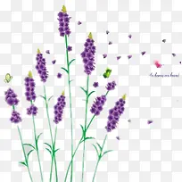 紫色花瓣-空若网 紫色花瓣-空若网